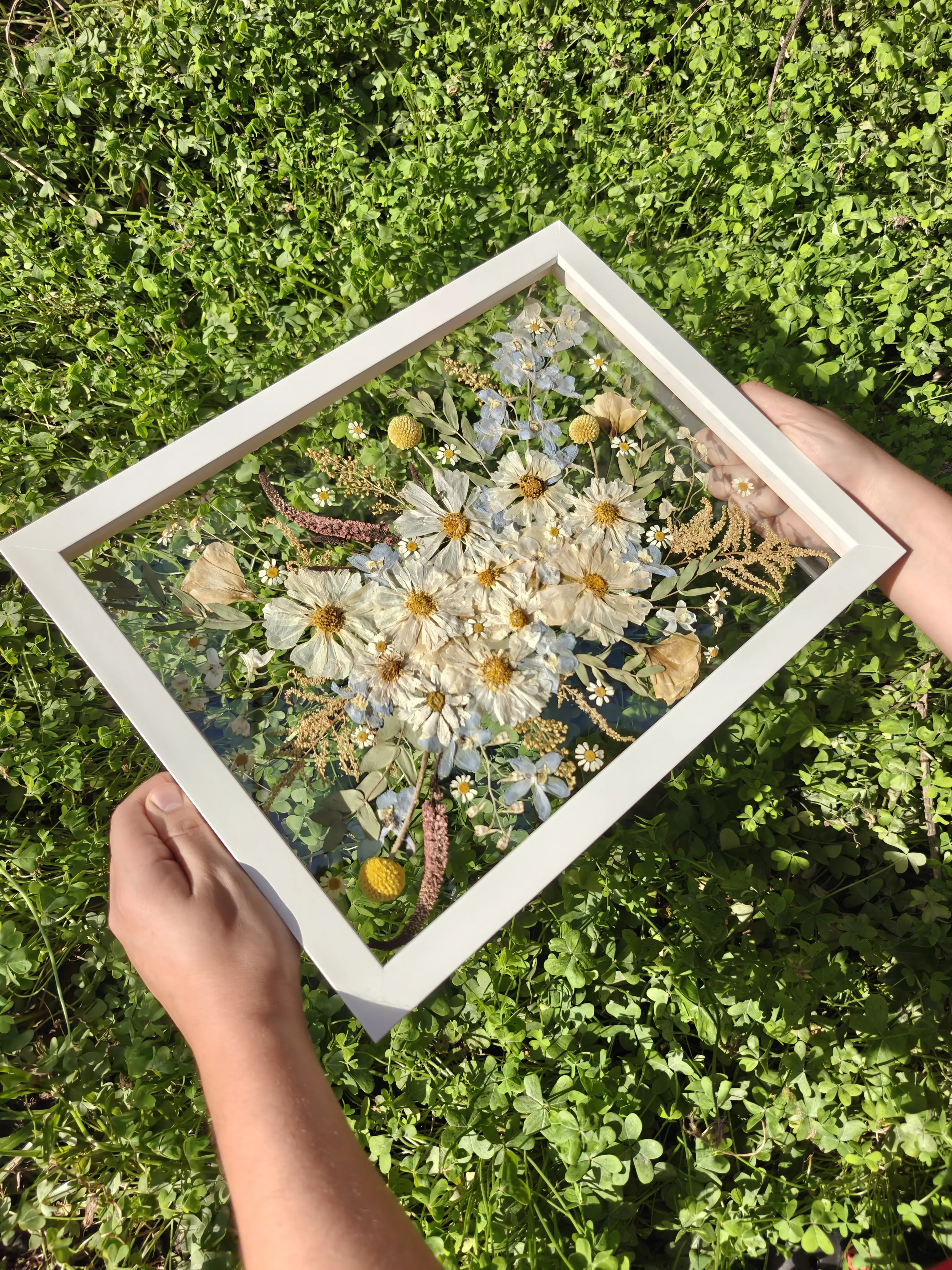Quadro de flores prensadas com vidro museu, Opções e Preços