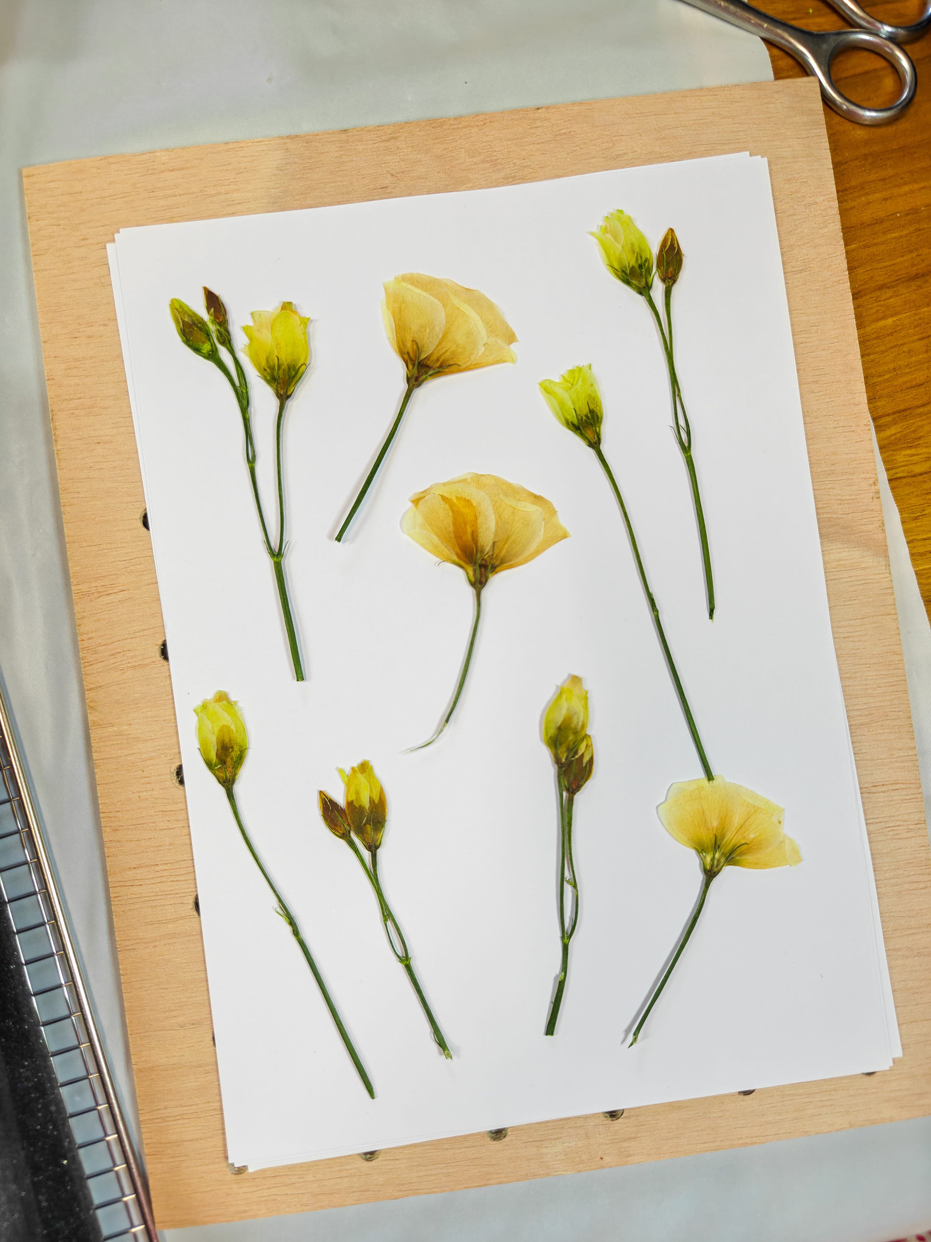 Artisan botanical pressing process for flower preservation