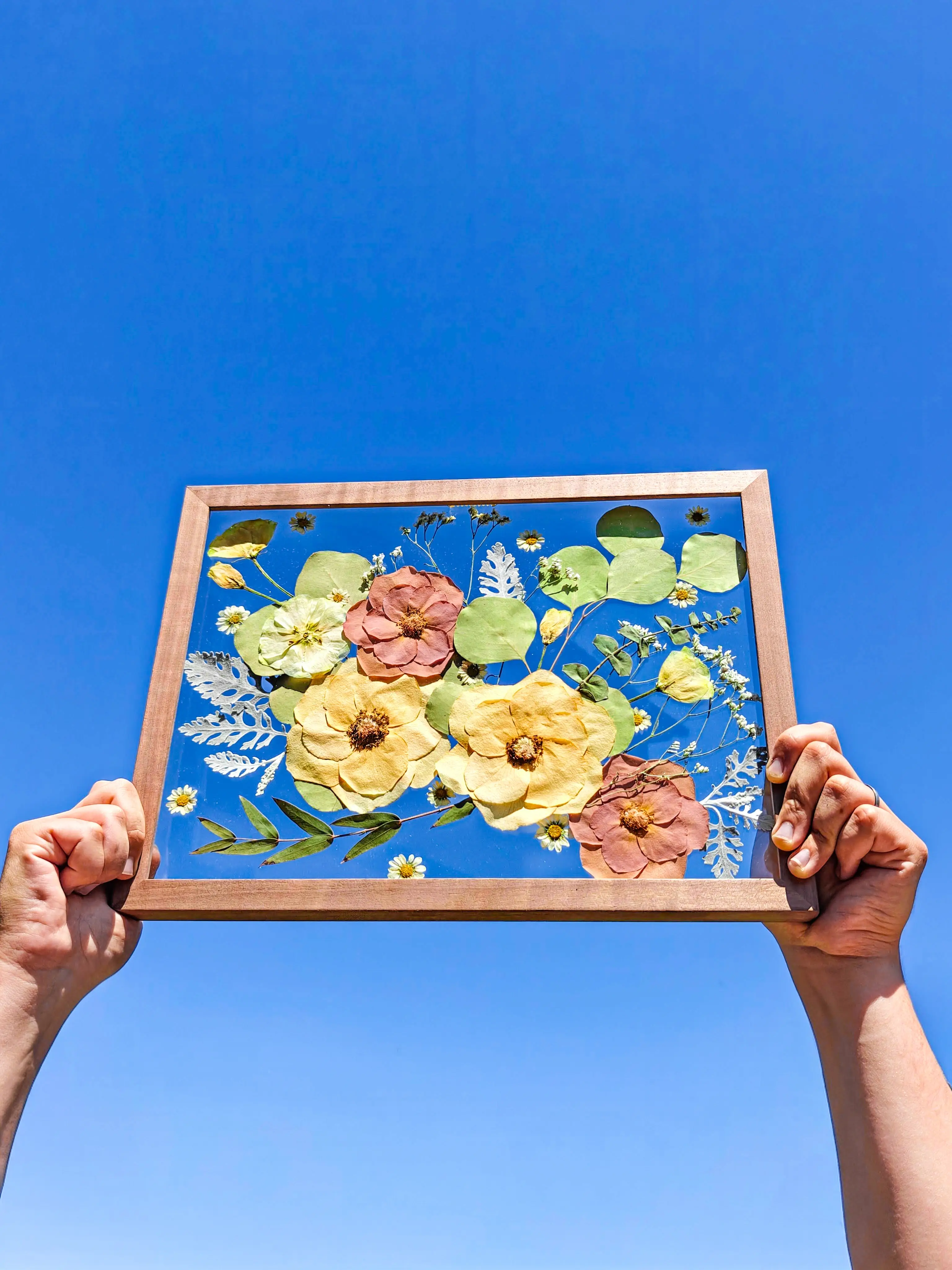 Quadro de flores secas emoldurado com vidro museu anti-UV